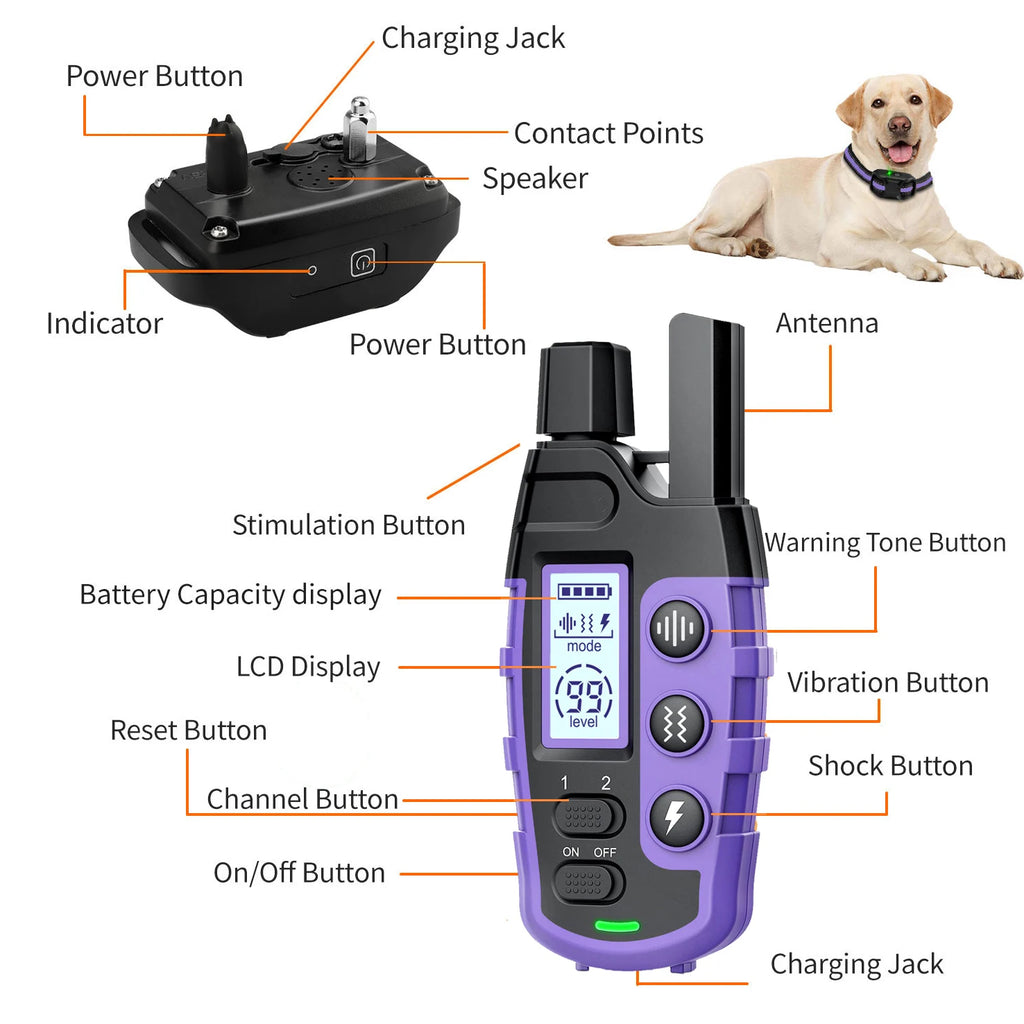 1000m Waterproof Dog Training Collar with Remote