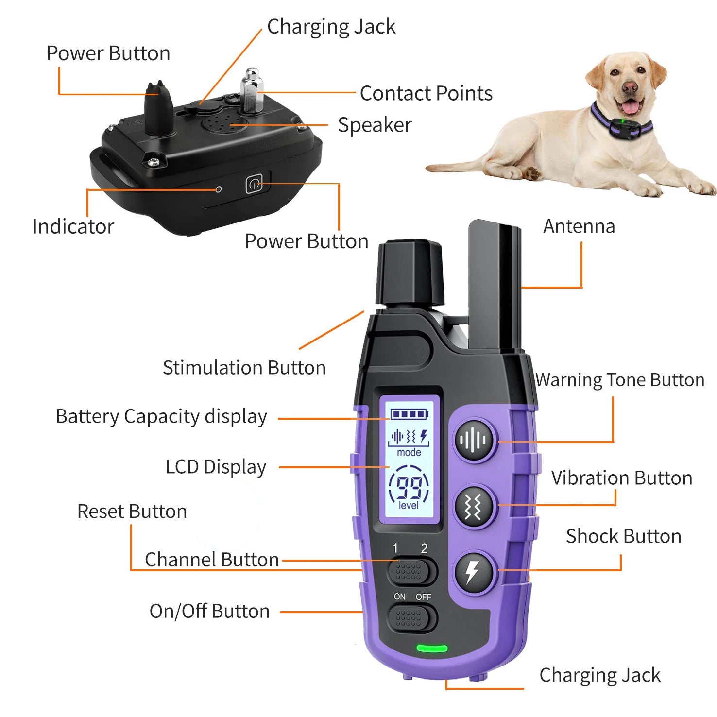 1000m Waterproof Dog Training Collar with Remote