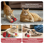 Upgraded Cat Training Leaky Ball with Chirping Bird — Interactive Slow Feeder Intelligence Toy 2025