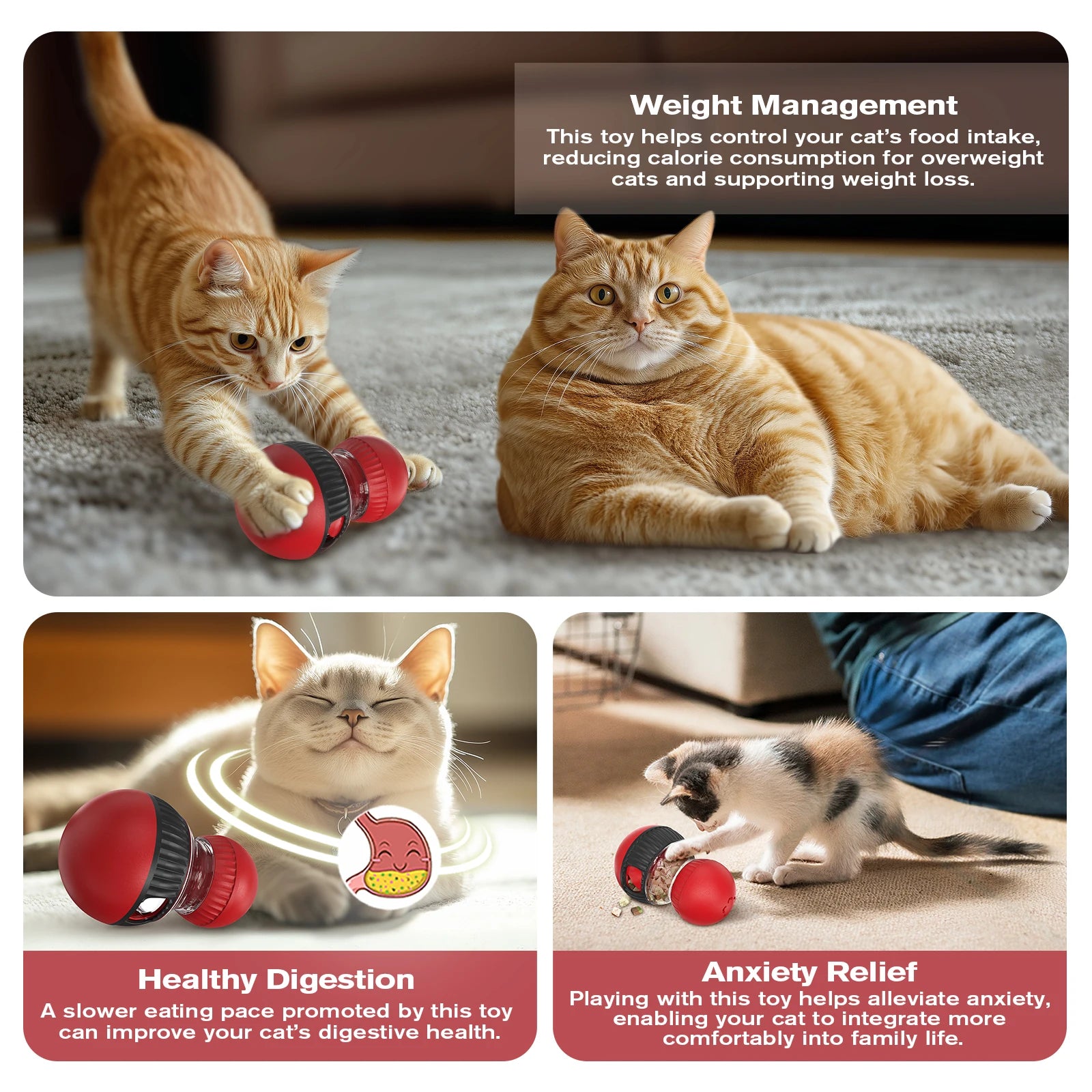 Upgraded Cat Training Leaky Ball with Chirping Bird — Interactive Slow Feeder Intelligence Toy 2025