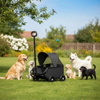 Small Pet Stroller Outdoor Use Foldable Pet Stroller for Cats, Park