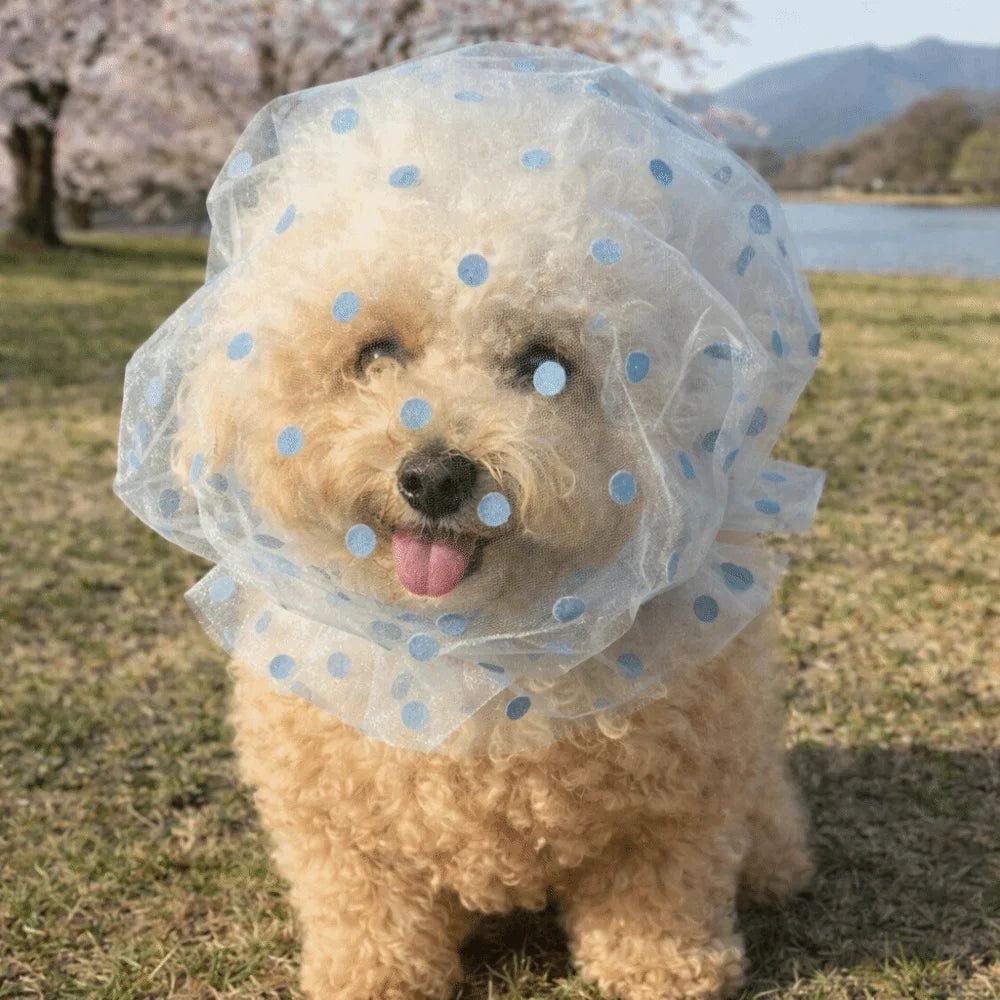 Breathable Mesh Pet Anti-Mosquito Headgear (Adjustable, Love/Wave Pattern)