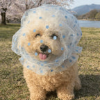 Breathable Mesh Pet Anti-Mosquito Headgear (Adjustable, Love/Wave Pattern)