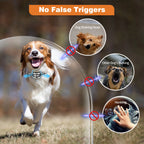 No-Bark Training Collar (2-Pack)
