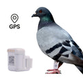 Real-Time GPS Pigeon Tracking Leg Band & Ring for Racing Pigeons & Birds - Flight Position Tracker