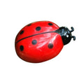 Electric Rotating Beetle & Ladybug Simulation Insect Cat Toy — Motorized Moving Interactive Pet Toy
