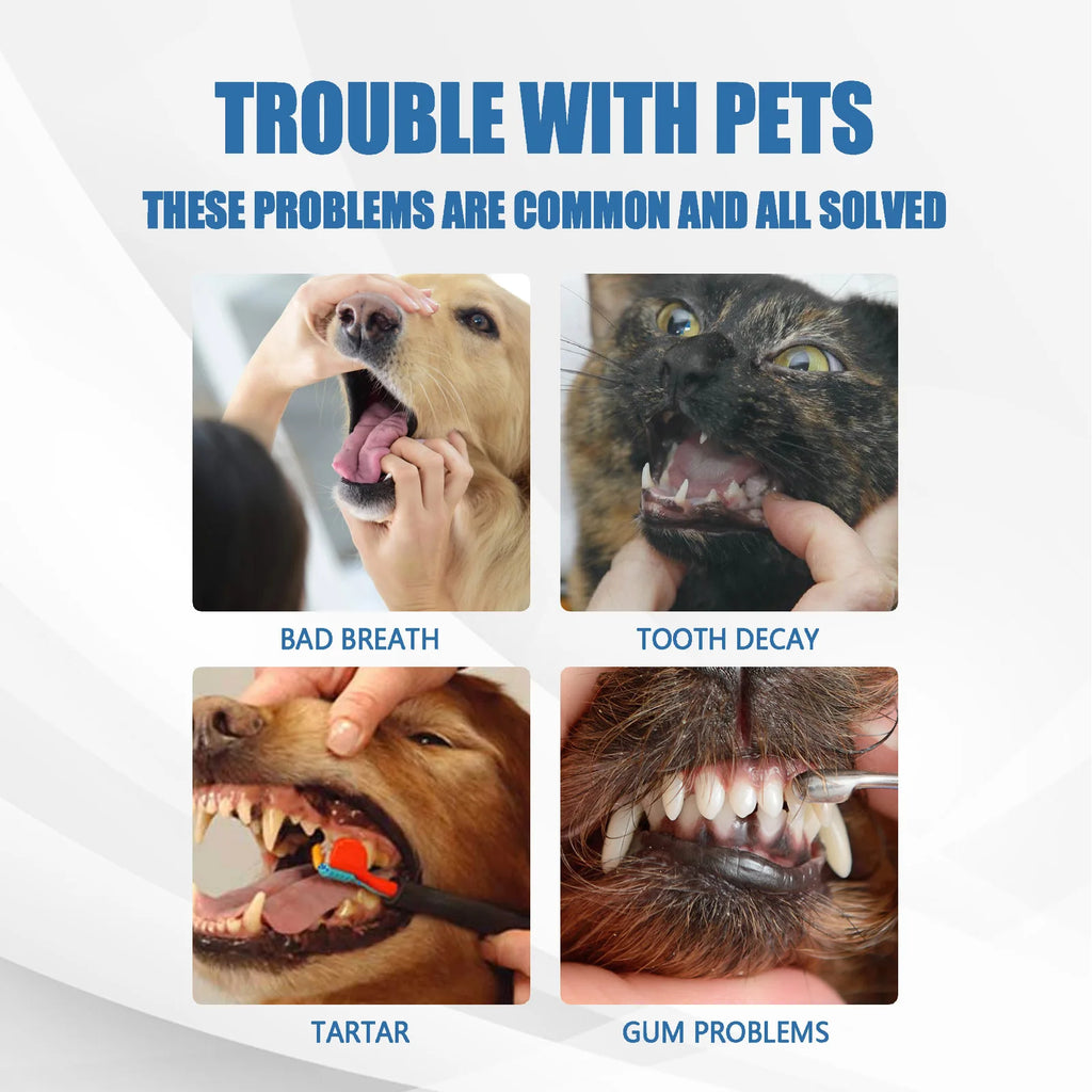 Pet Mouth Cleaning Foam Natural Plants Tartar Remover Cleaning Bad Smell Tongue Pet Accessories Dogs And Cats Oral Cleanse Foams