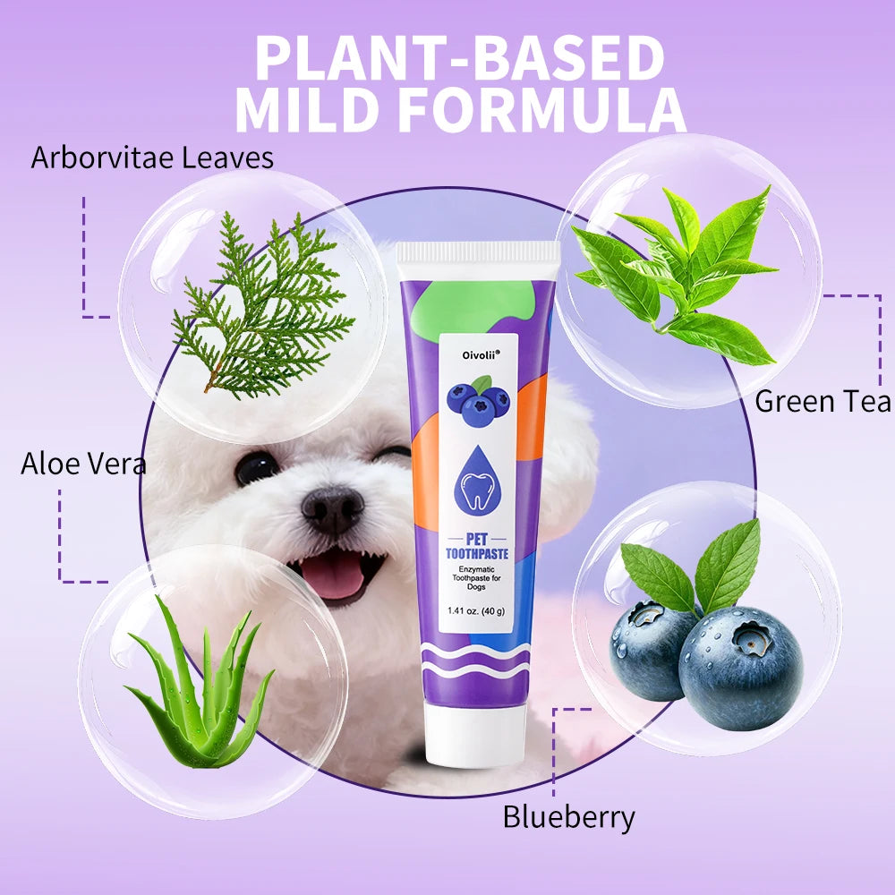 Pet Teeth Cleaning Kit Enzymatic Toothpaste for Cats Dogs with Toothbrush Finger Brush Reduce Plaque Tartar Blueberry Flavor