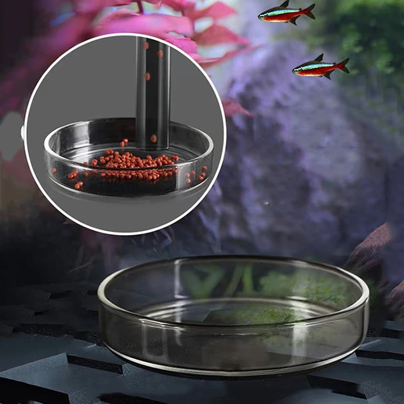 Glass Aquarium Shrimp Feeder Bowl & Tube (Transparent, Snail & Shrimp Food Dish)