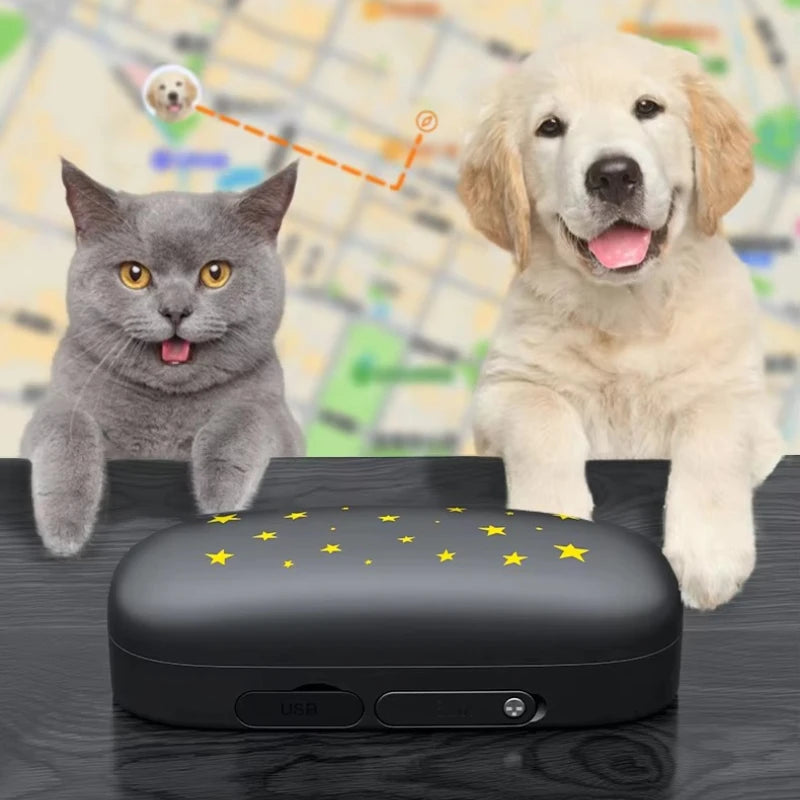 RF-V53 4G GPS Pet Locator for Dogs & Cats with Beidou Positioning - IP67 Waterproof, 900mAh Battery