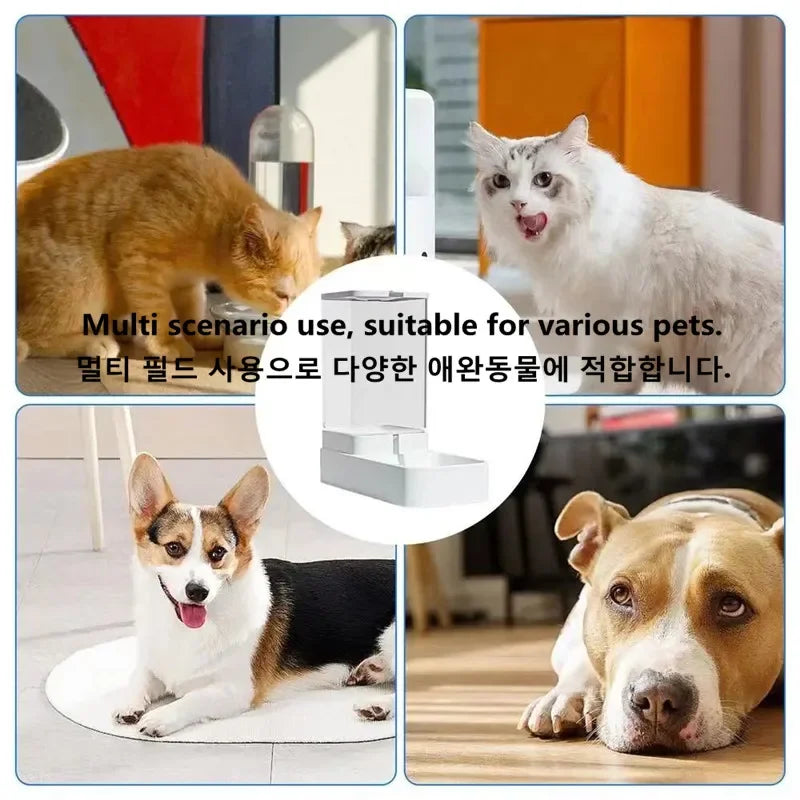 A5 Transparent Gravity Pet Feeder and Water Bowl (High Capacity, Cats & Dogs)