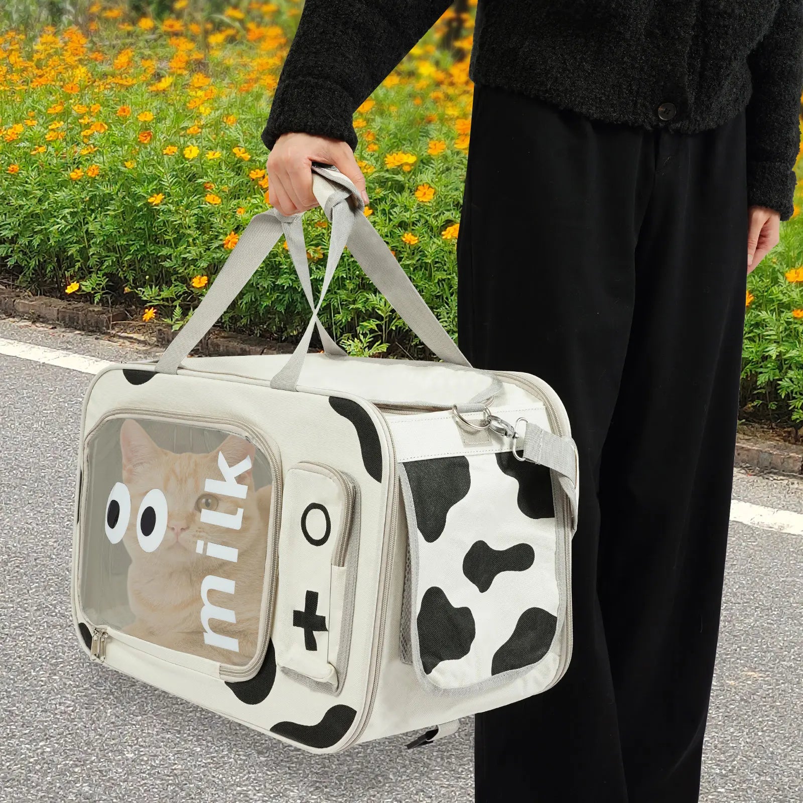 Pets Go Out with Portable Trolley Cases Suitcases for carrying cats up to 22.05 lbs small dogs up to 16.53 lbs