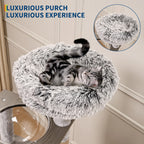 66.9in Multi-Level Cat Tree Tower with Enclosed Litter Box