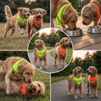 Washable Reflective Dog Bandana Luminous Adjustable Pet Scarf Soft Lightweight Dog Neck Wrap Party Decor