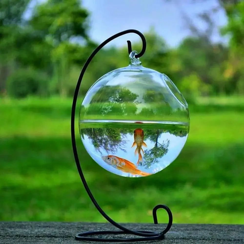 Hanging Glass Fish Bowl Vase (Round & Rectangle, Transparent, Wall-Mounted with Rack Holder)