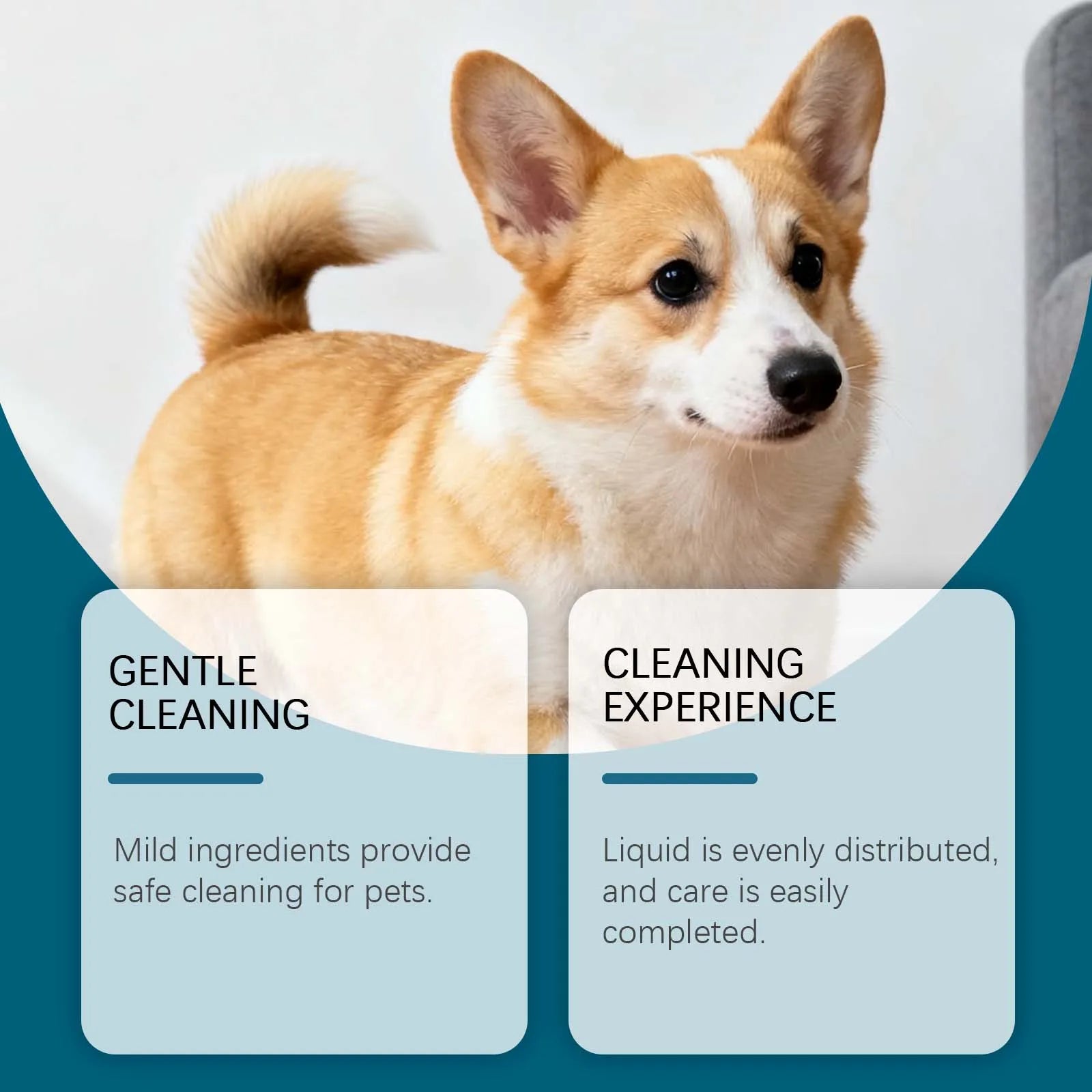 60ml Soothing Ear Itch Relief Drops for Dogs Gentle Pet Ear Cleaner, Nutrient Ingredients to Maintain and Nourish Ear Care Drops