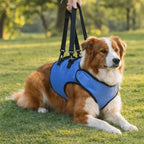 Dog Lift Sling Harness (Oxford Fabric, Anti-Escape, Detachable)