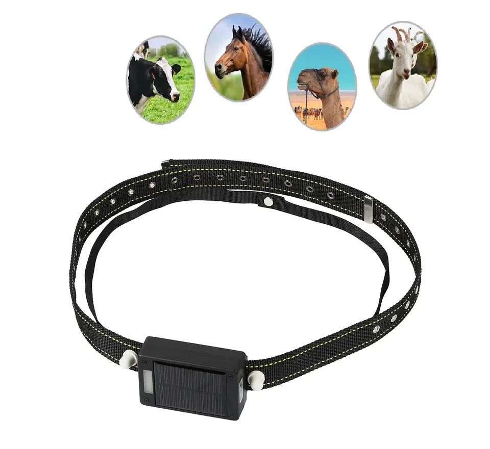 10,000mAh Solar Panel 4G GPS Tracker for Large Animals - Remote Control for Horses, Cows & Cattle