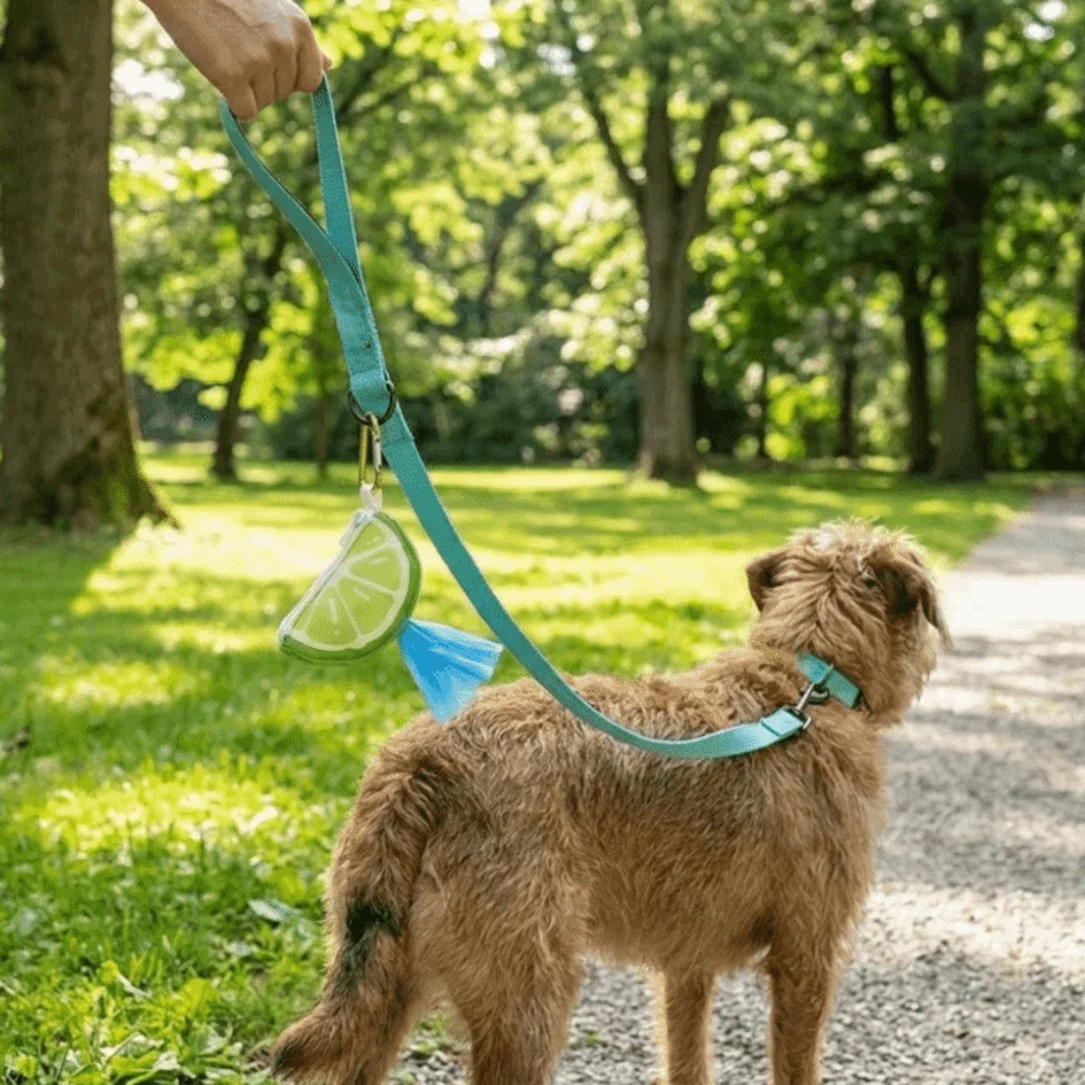 Watermelon Dog Poop Bag Dispenser with Hanging Ring (Portable, Colorful)