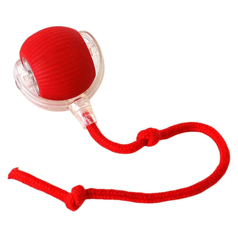 Auto Bouncing Ball Cat Toy with Rope — Type-C Rechargeable Motion-Activated 3-Mode Interactive Toy