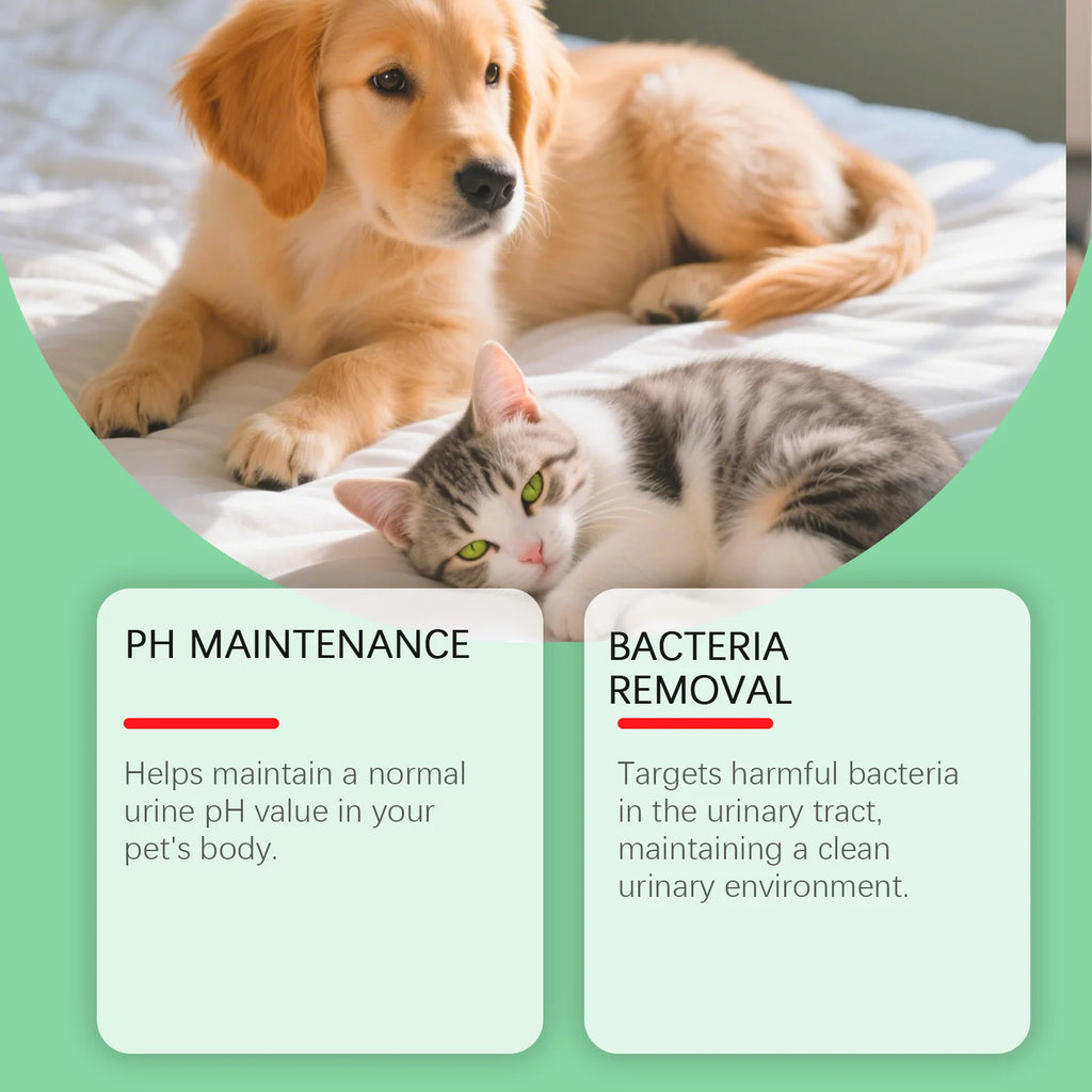 Pet Urine pH Maintenance Drops – Gentle Formula Reduces Harmful Bacteria, Daily Care for Comfortable and Healthy Pets