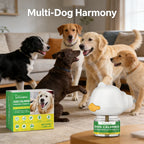 Calming Aromatherapy Diffuser Kit for Dogs