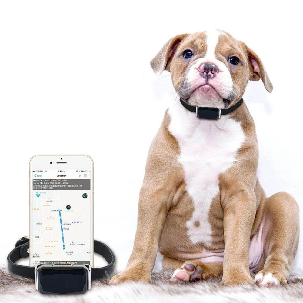 Multi-Mode GPS Pet Tracker with IP67 Waterproof Collar - GPS, AGPS, WiFi & LBS Positioning for Dogs & Cats