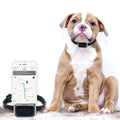 Multi-Mode GPS Pet Tracker with IP67 Waterproof Collar - GPS, AGPS, WiFi & LBS Positioning for Dogs & Cats