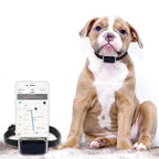 Multi-Mode GPS Pet Tracker with IP67 Waterproof Collar - GPS, AGPS, WiFi & LBS Positioning for Dogs & Cats