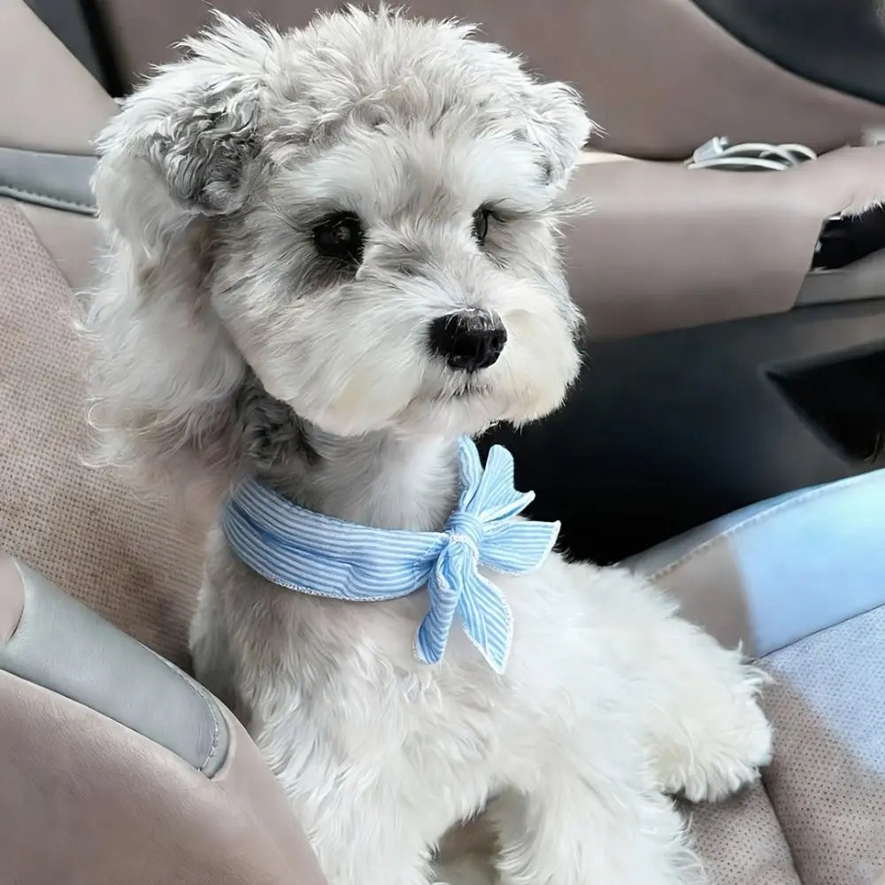 Pet Cooling Ice Scarf 2-Pack (Reusable, Fast-Cooling, Adjustable)