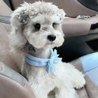 Pet Cooling Ice Scarf 2-Pack (Reusable, Fast-Cooling, Adjustable)