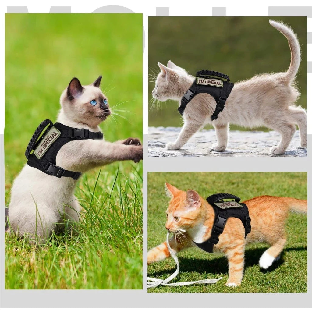 Breathable Tactical Cat & Dog Chest Harness — Adjustable Vest Leash for 3–20kg Pets