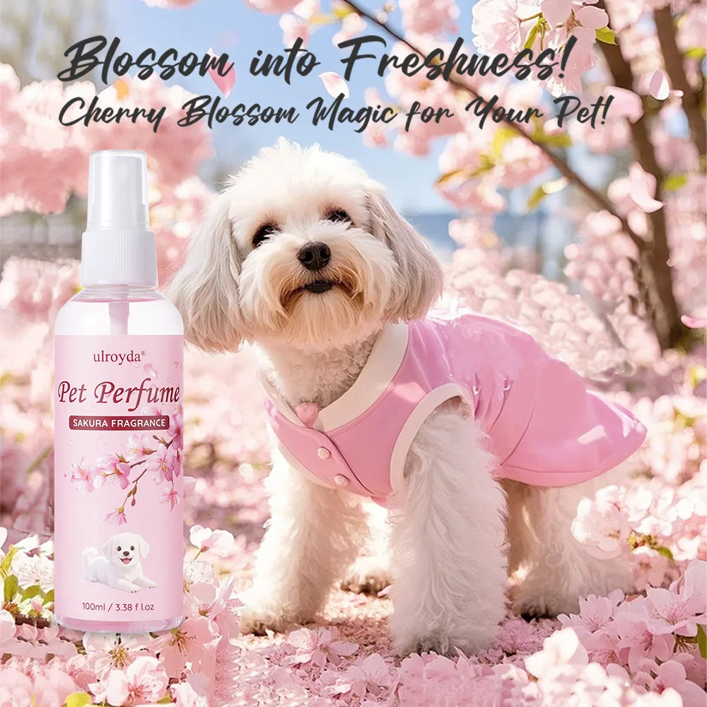 Cherry Blossom Dog Perfume Spray for All Breeds - Long Lasting Fragrance Gentle Moisturizing Coat Care 100ml Portable Size