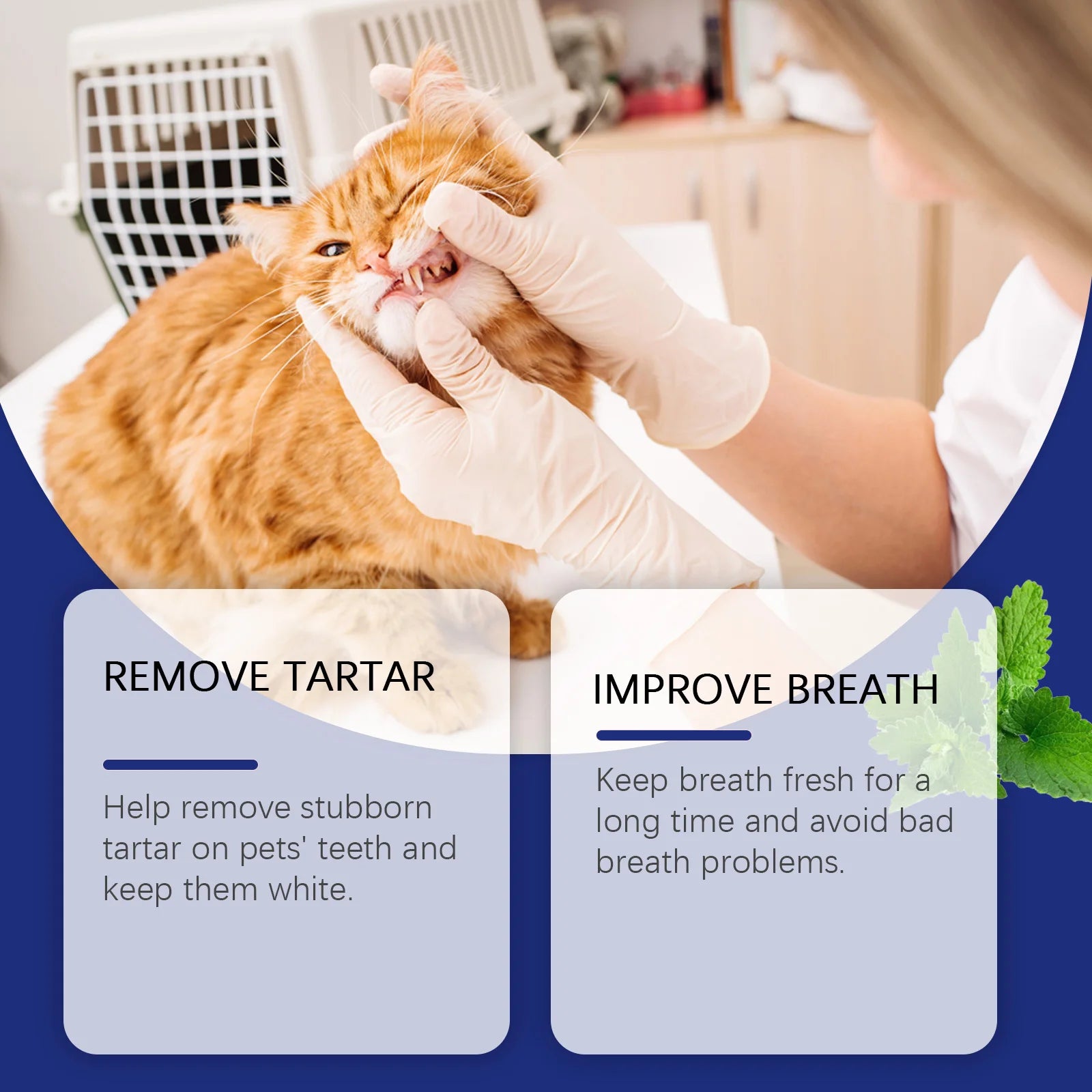 Pet Tartar Removal Tooth Powder Cleans Pet Teeth Removes Stains Tartar Keeps Teeth White Controls Odor Fresh Breath Tooth Powder