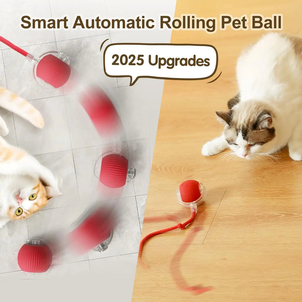 Auto Rolling Ball Cat Toy with Tail — Rechargeable Smart Electric Mouse Teaser for Cats