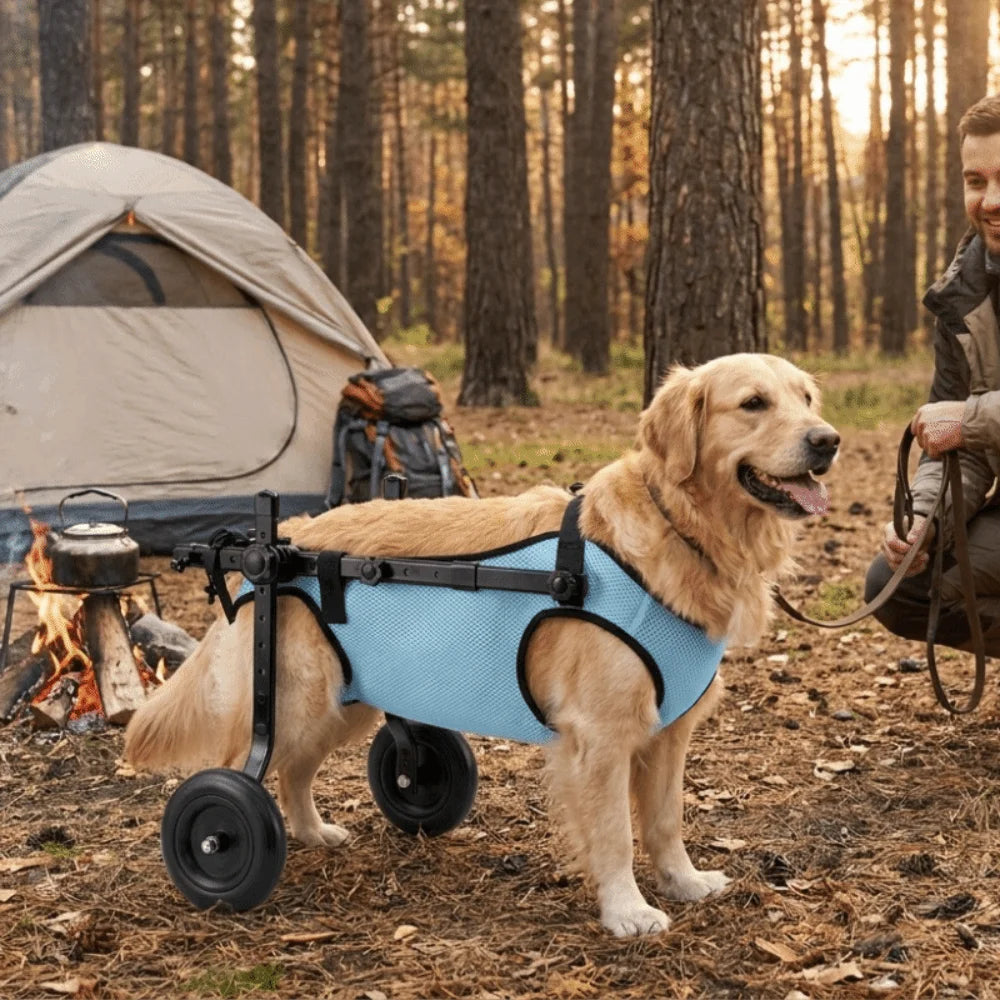 Adjustable Dog Wheelchair (Hind Leg Support, Breathable, Rehabilitation)