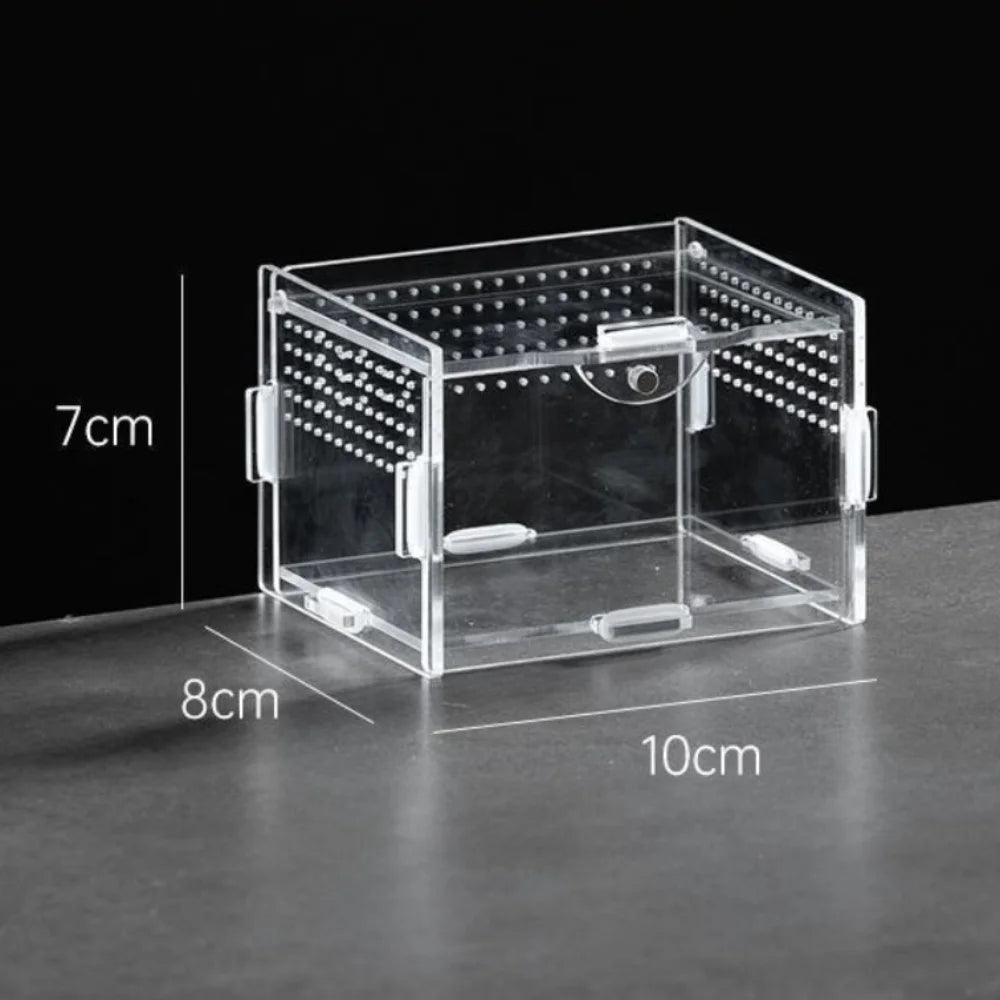 Durable Acrylic Reptile Habitat Anti-Escape Multiple Size Lizard Breeding Box Clear Arboreal Spider Feeding Case for Chameleon