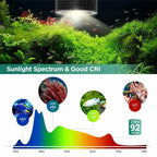 Lominie 4-Channel LED Planted Tank Light (Remote Control, Full Spectrum, Aquarium Growth)