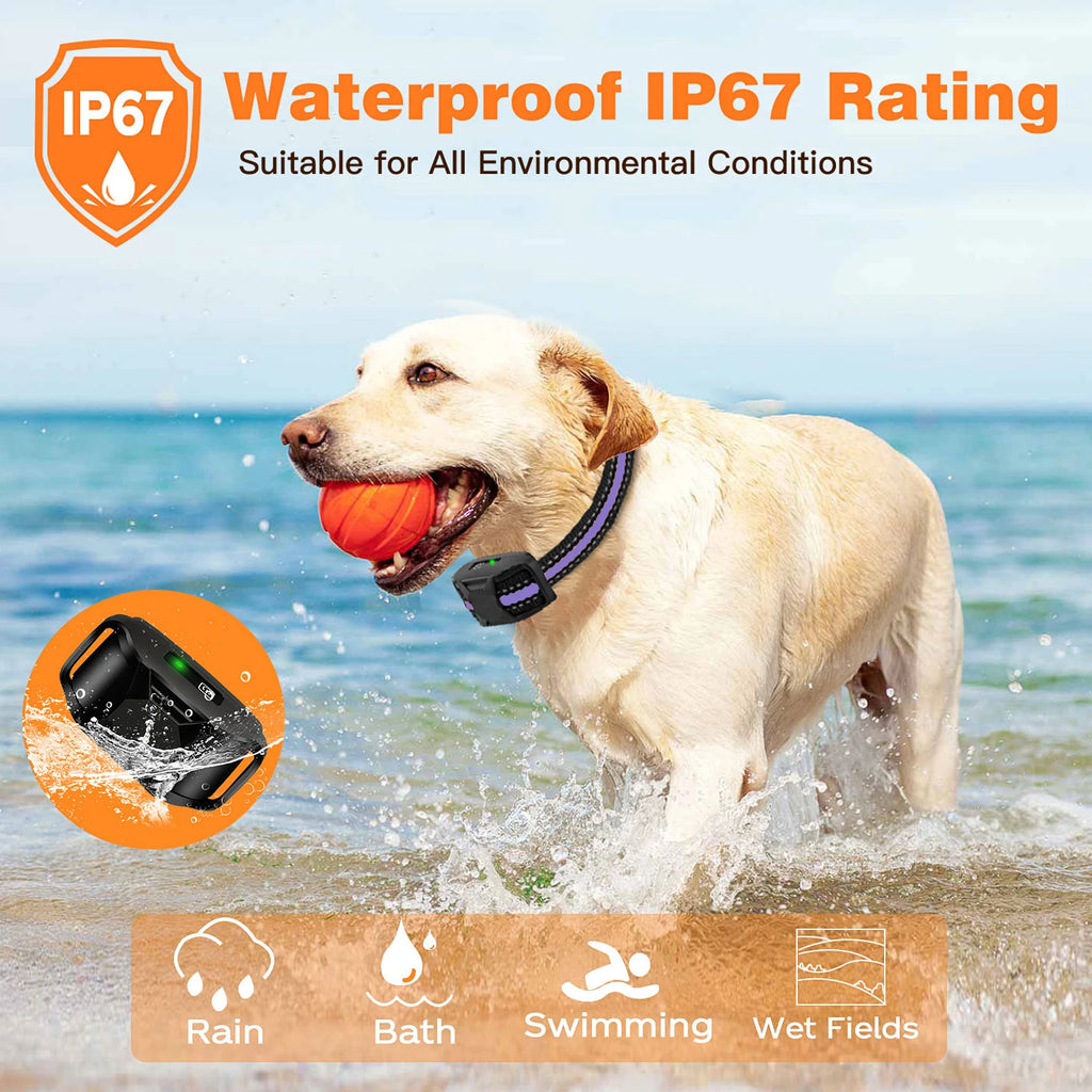 1000m Waterproof Dog Training Collar with Remote