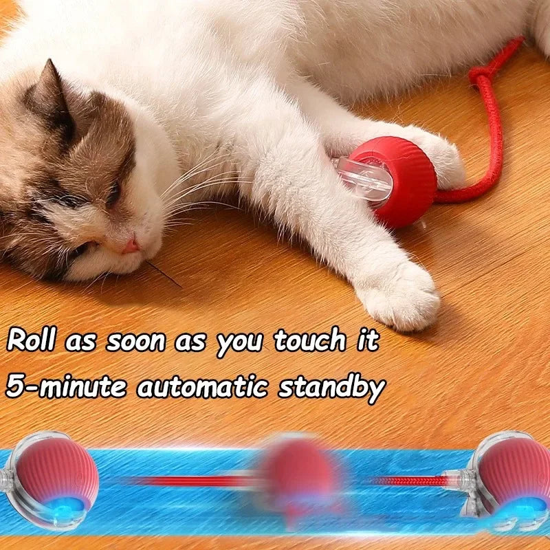 Rechargeable Auto Rolling Ball Cat Toy with Faux Tail — Smart Electric Mouse Imitation Toy for Cats & Dogs