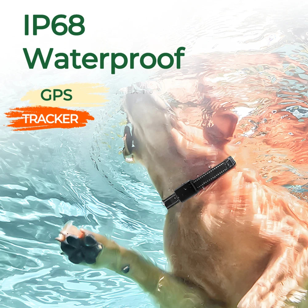 Adjustable GPS Cat Collar Tracker with Smart Locator - Anti-Loss Tracking Device for Cats & Small Dogs