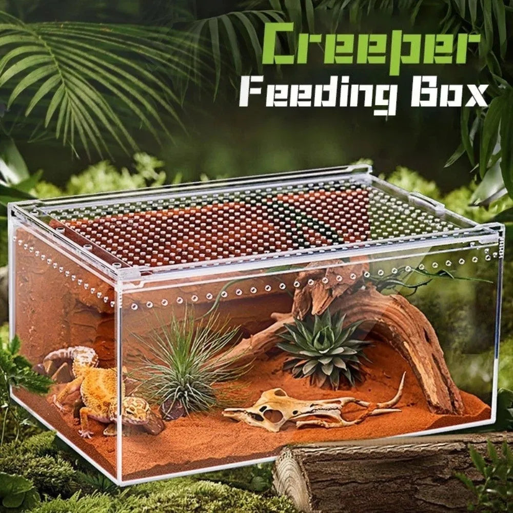 Transparent Reptiles Terrarium Ventilated Easy to Install Lizard Breeding Box Acrylic Anti-escape Gecko House Habitat
