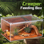 Transparent Reptiles Terrarium Ventilated Easy to Install Lizard Breeding Box Acrylic Anti-escape Gecko House Habitat