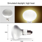 25/50/100W UVA+UVB Reptile Lamp Bulb Turtle Basking UV Light Bulbs Heating Lamp Amphibians Lizards Temperature Controller 220V