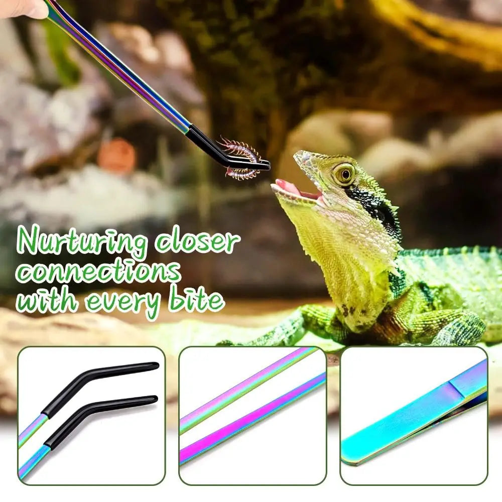2PCS Stainless Steel Reptile Feeding Tongs with Rubber Tip Terrarium Tank Supplies Straight and Curved Tweezers Accessories