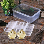 16 Grids Reptiles Egg Incubator Tray Lizard Snake Eggs Hatcher Plastic Case Box