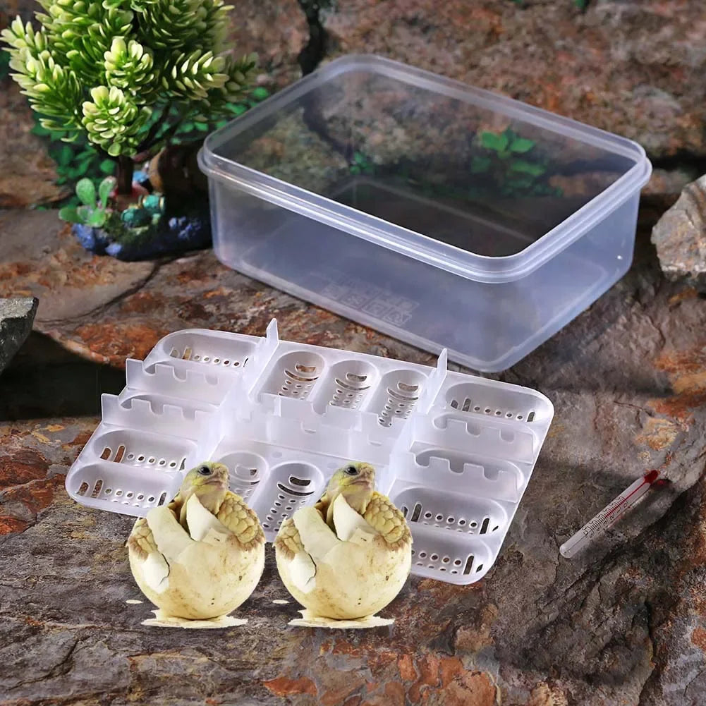 16 Grids Reptiles Egg Incubator Tray Lizard Snake Eggs Hatcher Plastic Case Box