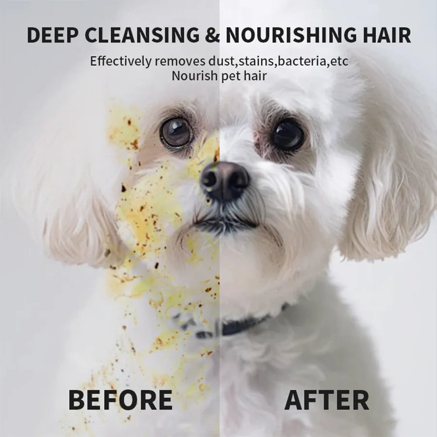Premium Dog Cat Bath Free Cleaning Gloves Deodorizing Disposable Wet Wipes No Water Dry Cleaning Pet Grooming Decontamination Ca