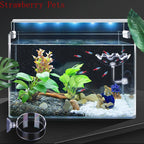 Glass Aquarium Shrimp Feeding Ring & Feeder Dish (Transparent, Floating, Bottom Use)