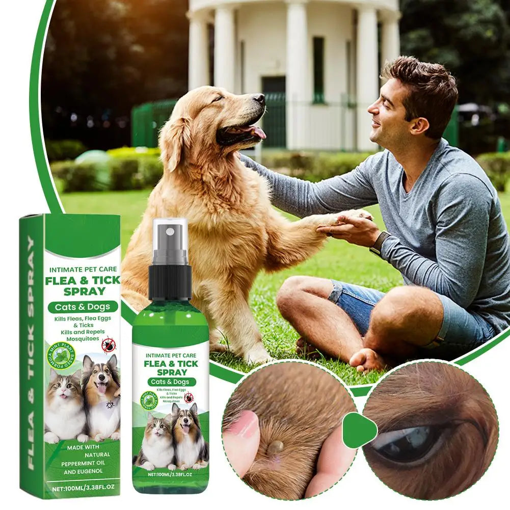 Pet Flea & Tick Spray for Dogs Cats 100ml Flea Killer Itching Relief Insect Repellent Mite Lice Spray Pet Care Mosquitoes Killer